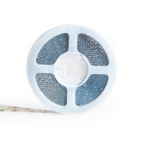 Tira LED SMD2216 - CCT - 24V DC - 30W/m - 10mm - IP20 - 5 metros