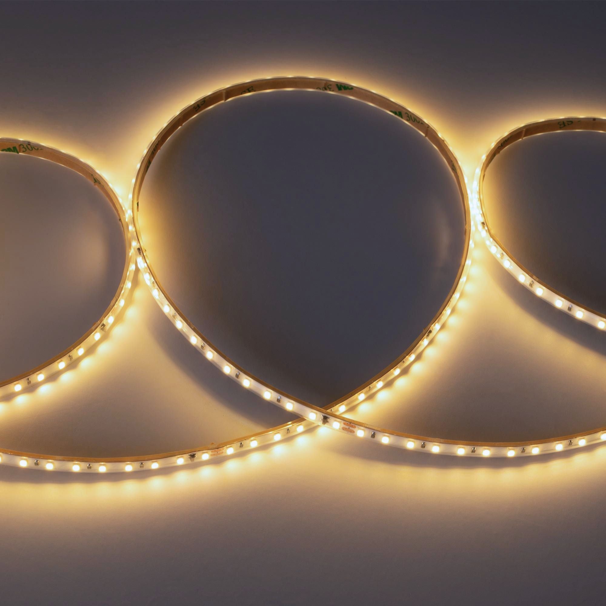 Tira LED 220V AC - Monocolor - 8W/m - 6.5mm - IP44 - 5 metros - 120ch/m (23)