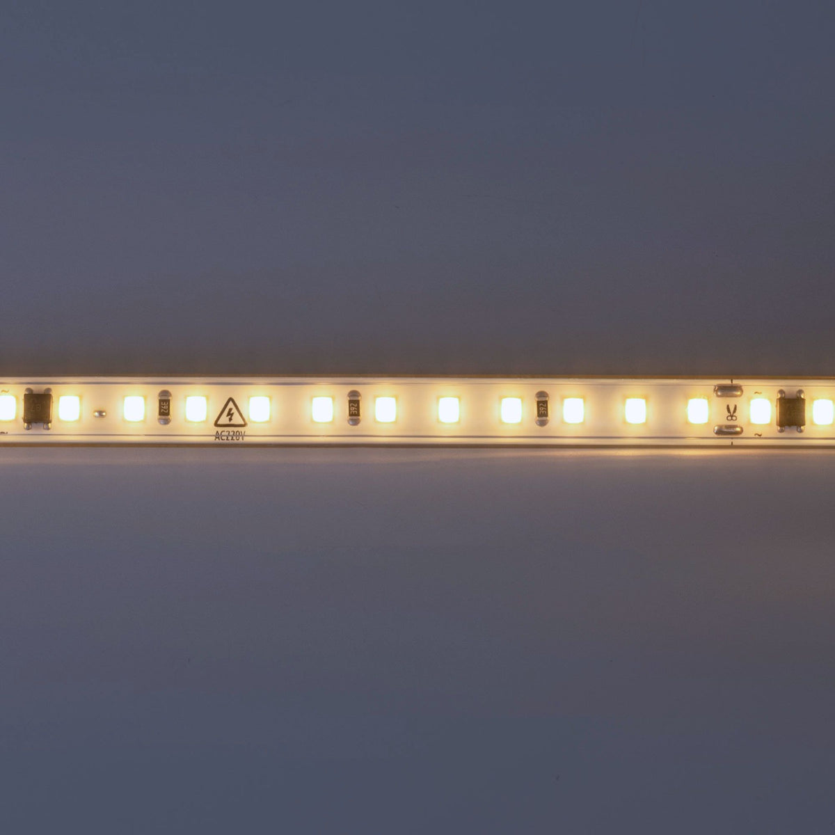 Tira LED 220V AC - Monocolor - 8W/m - 10mm - IP65 - 5 metros - 120ch/m (27)