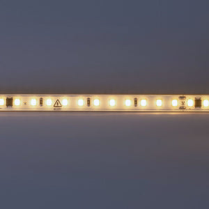 Tira LED 220V AC - Monocolor - 8W/m - 10mm - IP65 - 5 metros - 120ch/m (27)