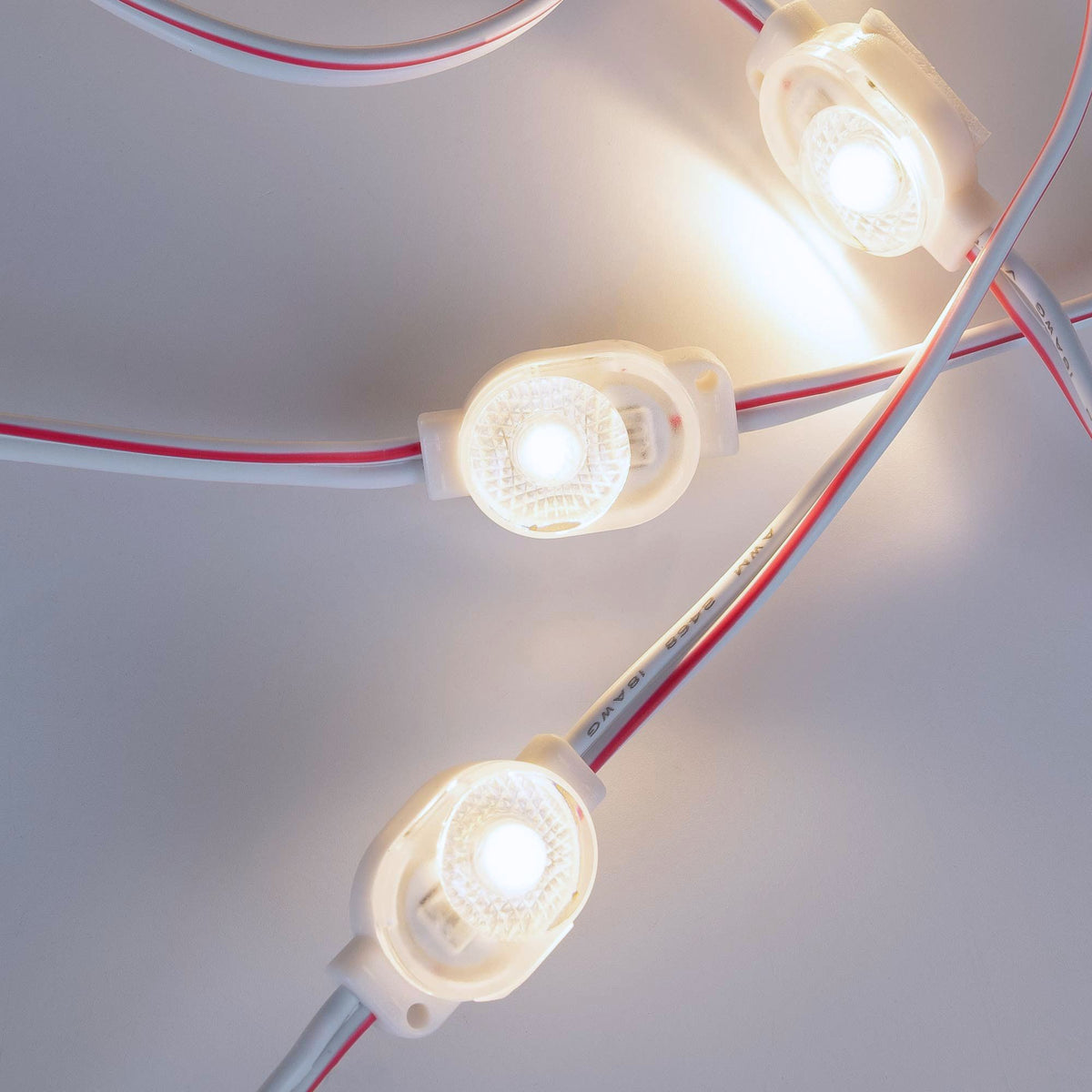 Módulo LED monocolor para rótulos - 0.5W - 12V DC - IP66 - 170º (9)
