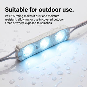 Módulo LED monocolor para rótulos - 1.2W - 12V - 160° - IP65 (5)