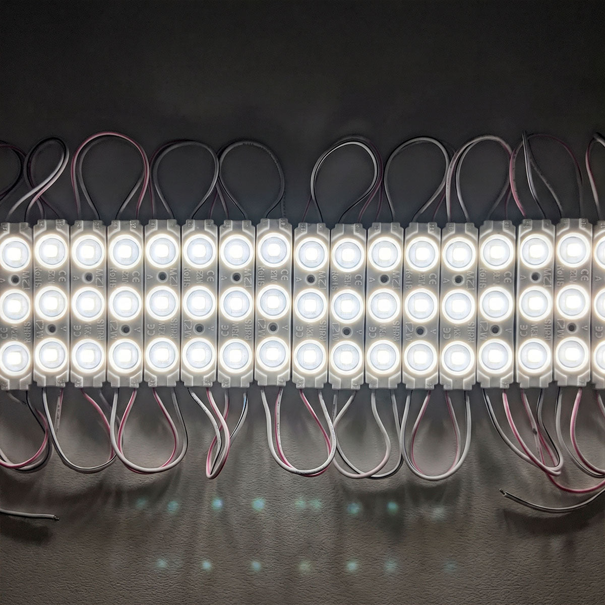 Módulo LED monocolor para rótulos - 1.2W - 12V - 160° - IP65 (9)