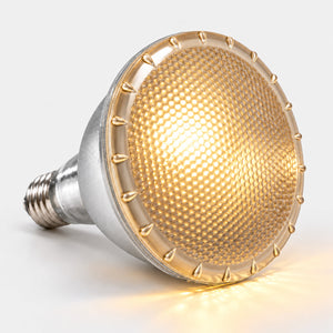 Bombilla LED de colores - PAR38 E27 - 12W - 60° (5)