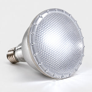 Bombilla LED de colores - PAR38 E27 - 12W - 60° (30)