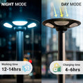 Solar street light with panel and remote control - PIR sensor - 150W - 6500K - IP54 2
