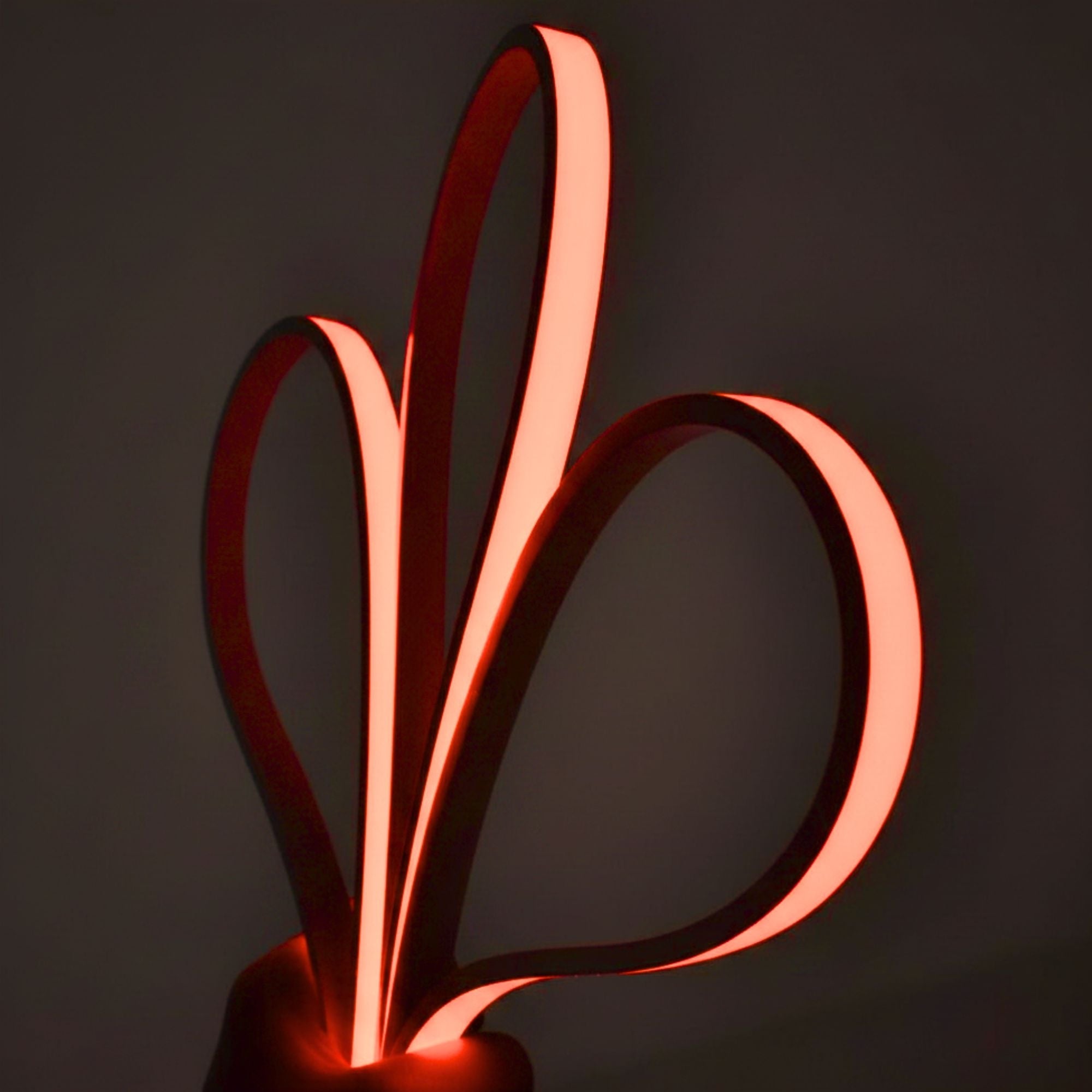 Flexible RGB LED neon 24V DC - 5x11mm - 5 meters - Complete kit - 11W/m ...