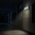 LED emergency light - 3W - 250lm - Autonomy 3h 5