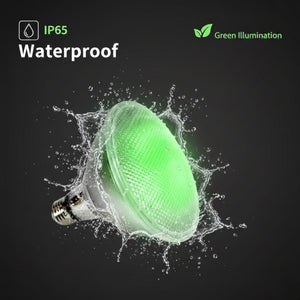 Bombilla LED PAR38 E27 12W IP65 (1)