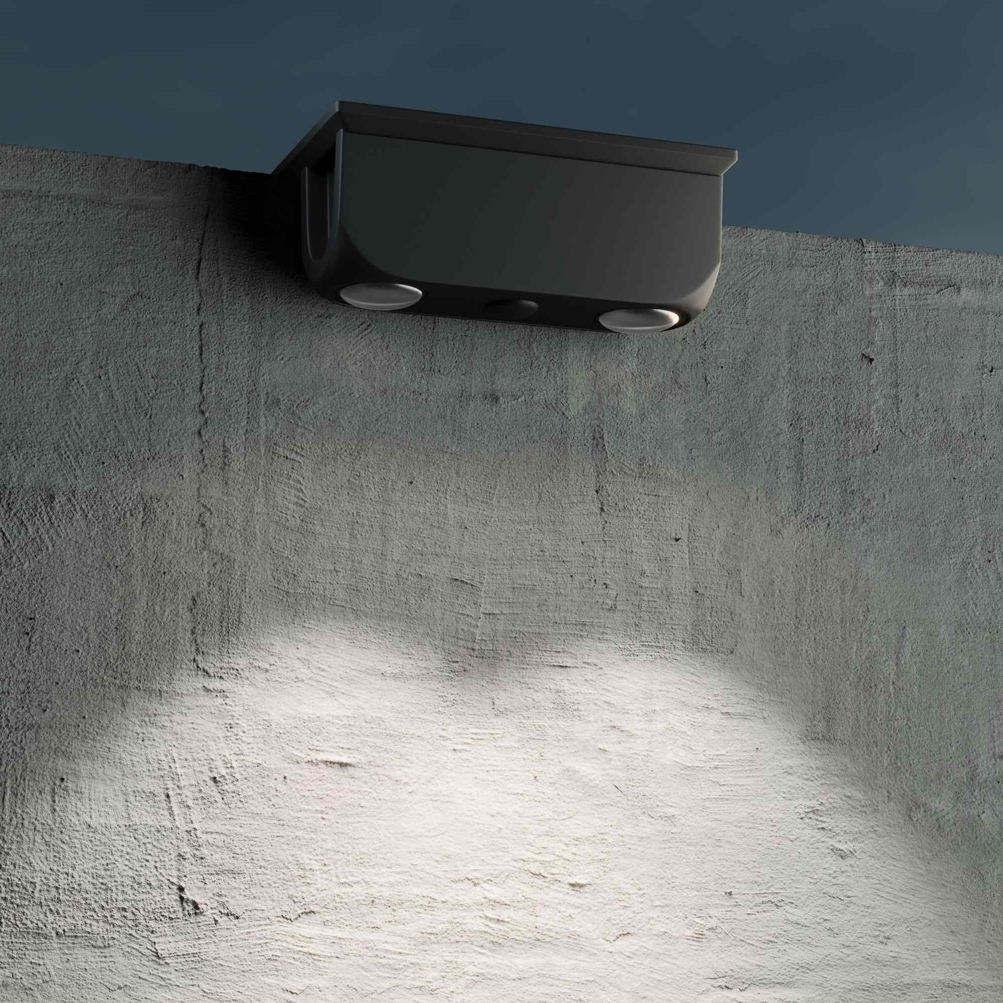 Lámpara LED solar de exterior - CCT - 2 LED - 60lm (2)