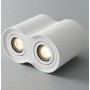 Doppelte Aluminium-Deckenleuchte „Tub“ - schwenkbar - 2 x GU10 - Hochwertige Deckenlampe
