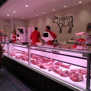 LED-Downlight für Fleischprodukte - 30W - Ø210 mm- rosa Licht, rosafarben