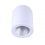 LED-Lampen