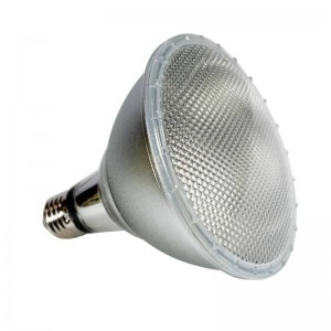 LED PAR38 E27 12W IP65 Glühbirne