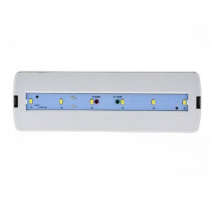 Wasserdichtes LED-Notlicht IP65 3W 3 Std. Betriebsdauer
