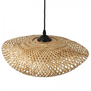 Weidenlampe Luftaufnahme