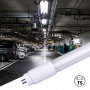 LED-Röhre T5 10W 60cm (548mm) Opalglas