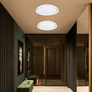 SMART LED-Deckenleuchte - RGBCW WLAN Anbauleuchte 30W - IP20