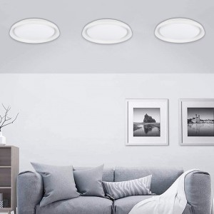 SMART LED-Deckenleuchte - RGBCW WLAN Anbauleuchte 30W - IP20