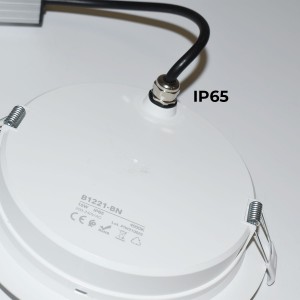 Wasserdichtes LED-Einbaudownlight - IP65 - 15W - Ausschnitt Ø 145-160mm