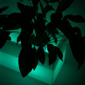 RGBW Akku LED-Pflanzgefäß - 12W - IP67 - LED Blumentopf