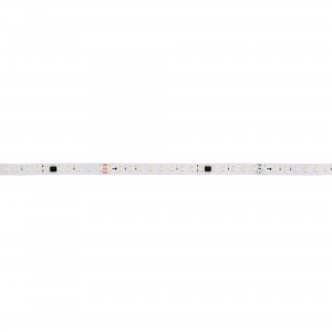 Einfarbiger IC LED-Streifen Smart 24V DC - 15W/m - IP20 - 120 LED/m - Breite 10 mm - 10 Meter