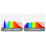 LED-Lampe GU10 6W Full Spectrum „Sunlike“ - 500 lm - CRI90 - PAR16 - 36° - Naturgetreues Licht - Sonnenlicht