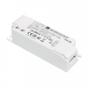 Dimmbarer DALI Treiber DT8 CCT 220-240V - Ausgang 3-42V DC - 100-500 mA - 10W - DALI 2 Protokoll