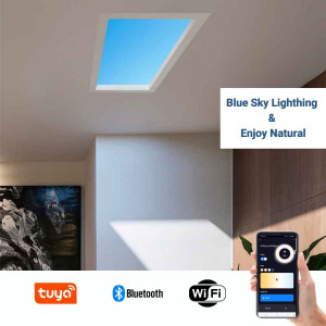 LED Himmel - Panel mit Tagesablauf Beleuchtung - 50W - 60x30cm - Smartphone Handy App steuerbar