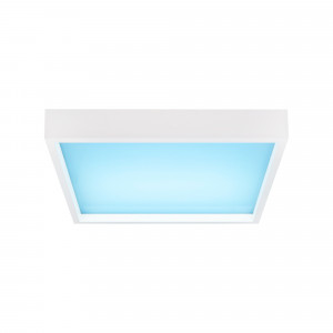 „Blue Skylight“ LED-Himmel-Panel - Tageslicht - 90W - 60x60cm - Himmeldecken, LED Tageslichtweiß