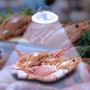 LED Downlight für Fisch & Meeresfrüche - 30W - Ø210 mm - Hochwertig, Frischprodukte