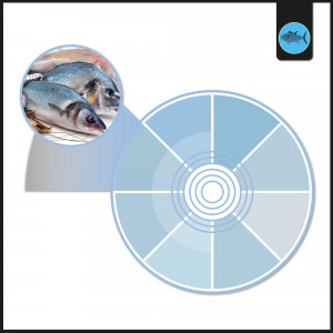 LED Downlight für Fisch & Meeresfrüche - 30W - Ø210 mm - Hochwertig, naturgetreu