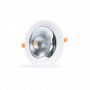 LED-Downlight für Fleischprodukte - 30W - Ø210 mm - Einbauleuchte