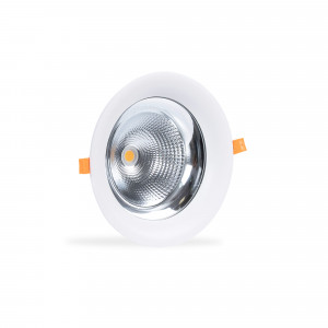 LED-Downlight für Fleischprodukte - 30W - Ø210 mm - Einbauleuchte