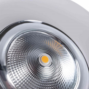 LED-Downlight für Fleischprodukte - 30W - Ø210 mm - Metzgerei, Lebensmittelbeleuchtung