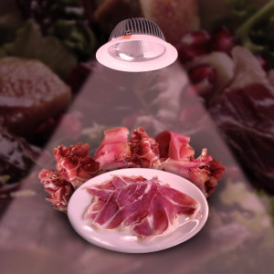 LED-Downlight für Fleischprodukte - 30W - Ø210 mm- rosa Licht, rosafarben