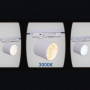 1 Phasen LED Schienenstrahler CCT - 40W - CRI 90 - Treiber KGP - Weiß - warmes Licht