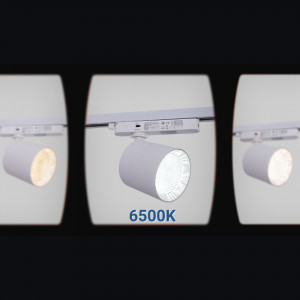 1 Phasen LED Schienenstrahler CCT - 40W - CRI 90 - Treiber KGP - Weiß - kaltes Licht