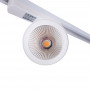 1 Phasen LED Schienenstrahler CCT - 40W - CRI 90 - Treiber KGP - Weiß - COB LED Strahler