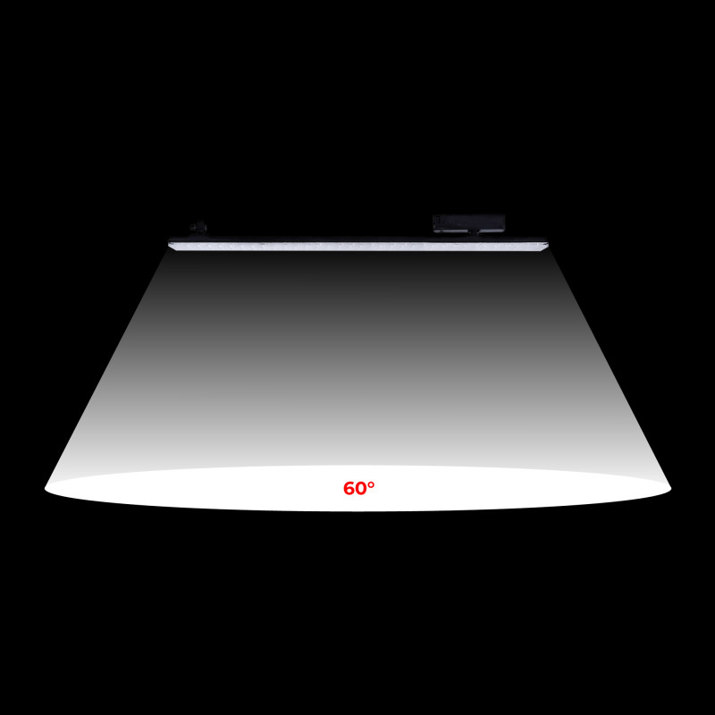 Schwenkbare LED Leuchte für 3 Phasen Schienensystem 40W - CCT - CRI90 - KGP Treiber - Schwarz - 60° Öffnungswinkel