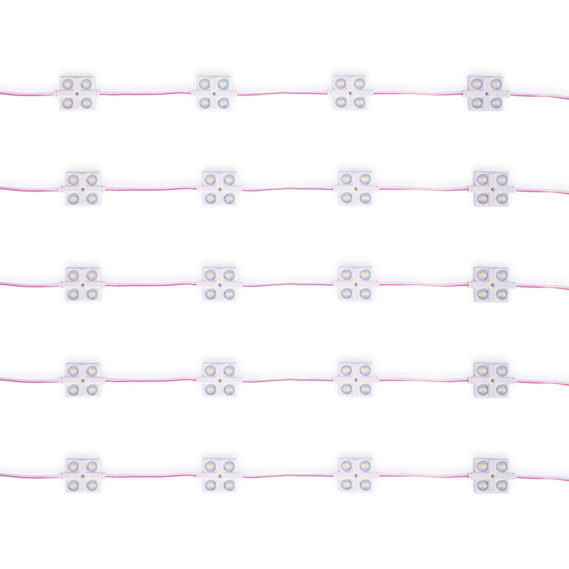 LED Modulkette für den Werbeeinsatz - 2W - 12V - IP65 - 160° - 3000K - LED Modul, Werbung, Leuchtkasten, Beschilderung