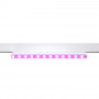 Magnetische Lampe Schienensystem, schwenkbar RGB + CCT 12W MiLight UGR18 rosa