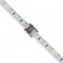 Schnellverbinder Hippo SMD 10mm CCT Streifen 3polig 24V led streifen mit led streifen verbinden