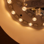 CCT LED Deckenleuchte 24W Holzoptik ø50cm warmes licht