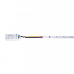 Hippo Schnellverbinder RGB + CCT COB zu Controller 12mm 6-polig 24V led streifen controller anschluss