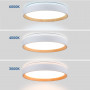 CCT LED Deckenleuchte in Holzoptik 24W Ø40cm cct farbtemperatur wählen