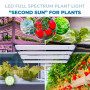 Pflanzenlampe 250W dimmbar GROW Light Full Spectrum LED wo kann man pflanzenlampen kaufen