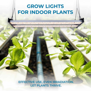 Pflanzenlampe 250W dimmbar GROW Light Full Spectrum LED 	wie gut sind pflanzenlampen