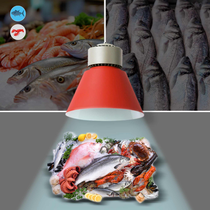 LED Leuchte für Fisch und Meeresfrüchte 36W KeGu Treiber optimales licht