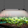 Pflanzenlampe 250W dimmbar GROW Light Full Spectrum LED wie sinnvoll sind pflanzenlampen